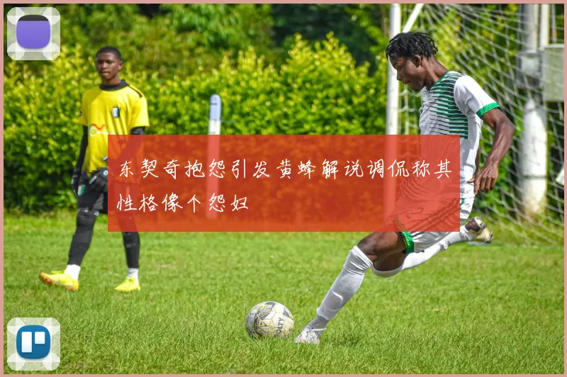 东契奇抱怨引发黄蜂解说调侃称其性格像个怨妇