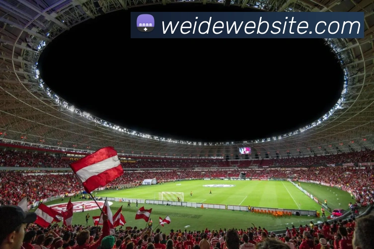 伟德体育平台生态图