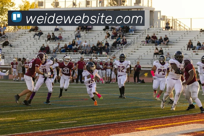 伟德体育APP 封面图